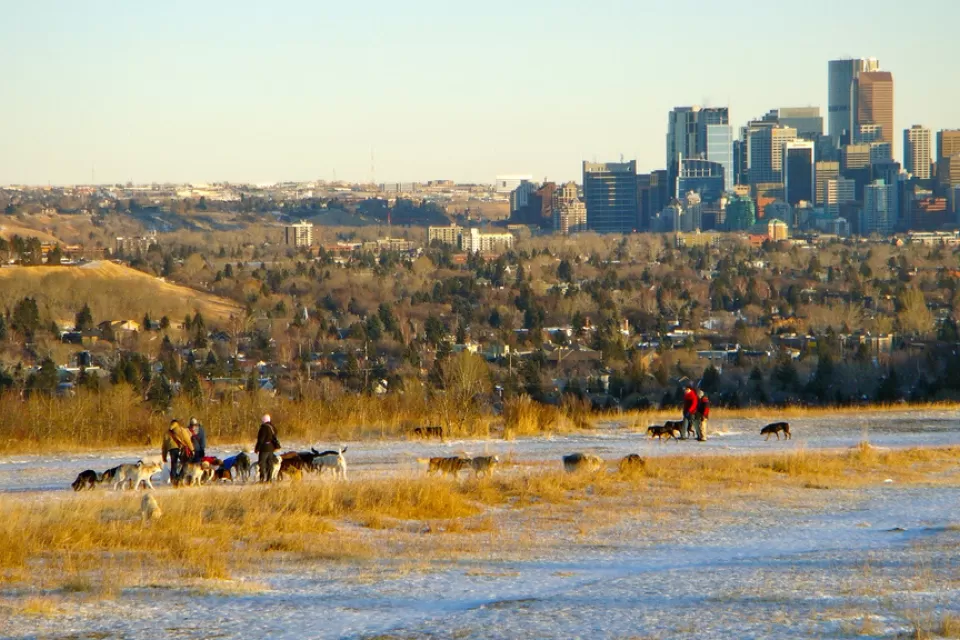 Photo of Calgary skyline from Edworthy Park